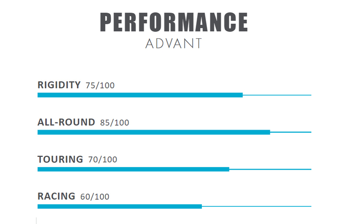 advant carbon hybrid paddle