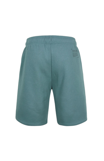 O'Neill Future surf jogger short Groen - afb. 2