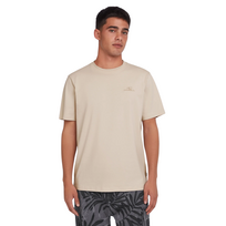O'Neill T-Shirt Heren Small Logo Atmosphere