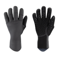 Gloves Polar 2-Layer