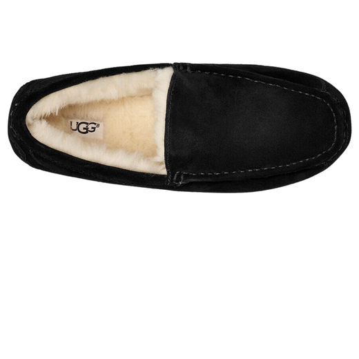 UGG Australia Heren Pantoffel Ascot Black - afb. 2