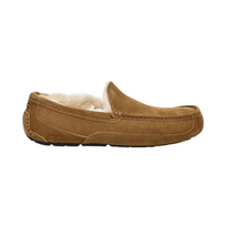 Ugg  Heren Pantoffel Ascot Chestnut