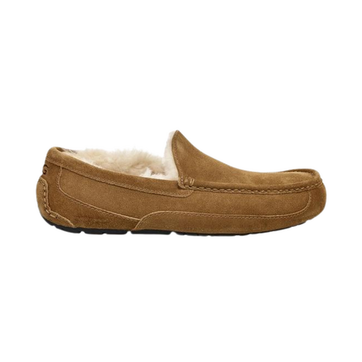 Ugg  Heren Pantoffel Ascot Chestnut - afb. 1